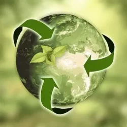 sustainability