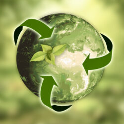 greening end-to-end supply chains