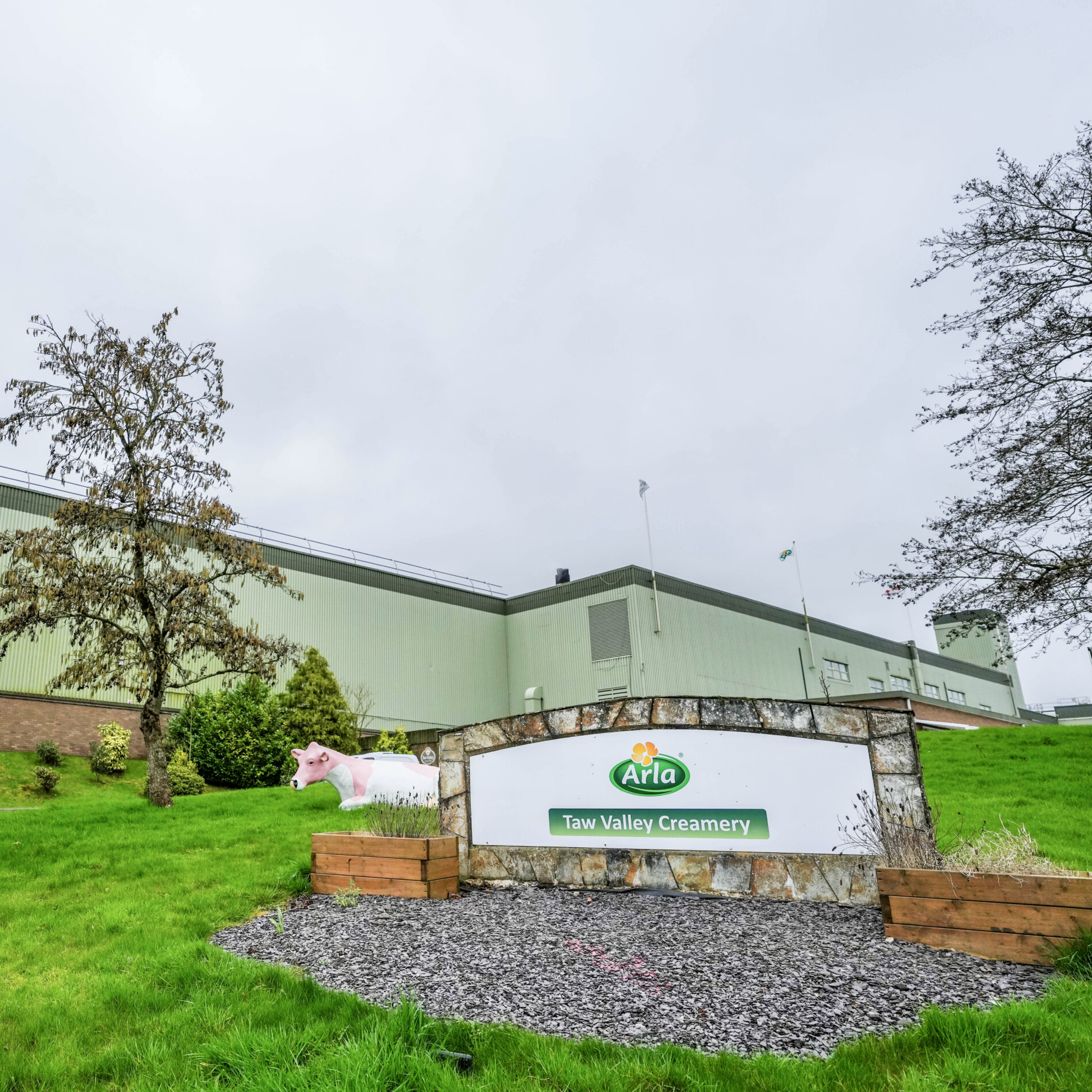 Multimillion investment aimed at securing Arla Foods’ mozzarella ...